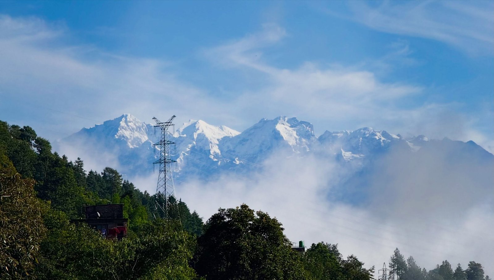 Mountain Mist at osho kakani